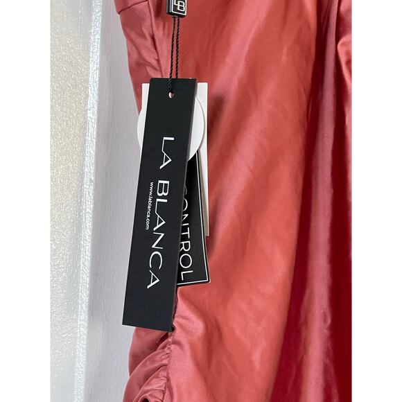 NWT Earth Goddess Underwire Lace Up One Piece Size 16 - Picture 6 of 7